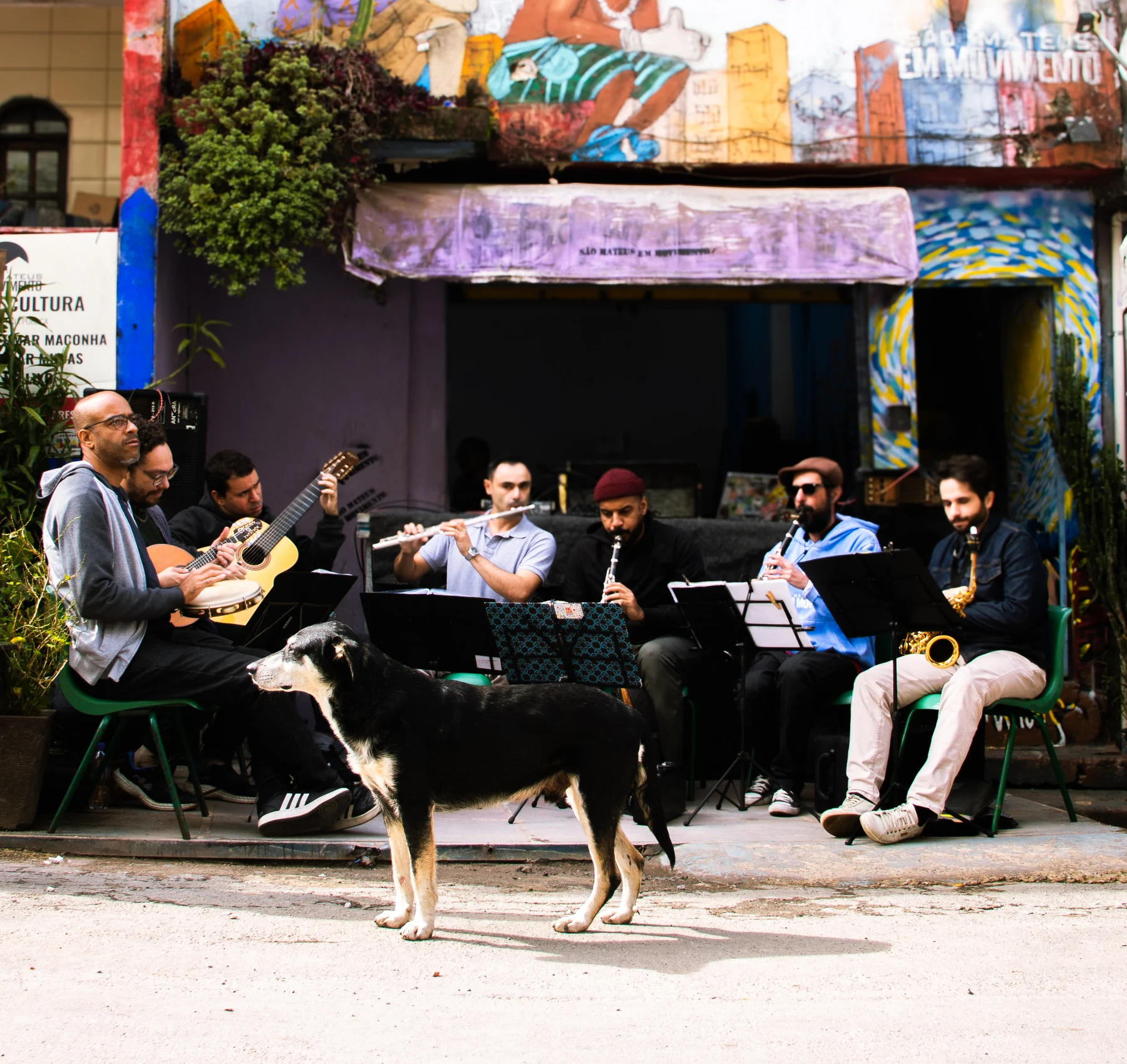 Conjunto de músicos toca em encontro na rua diante de uma fachada pintada